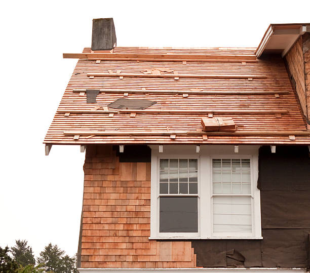 Professional Siding Installation & Repair in Olivia, MN